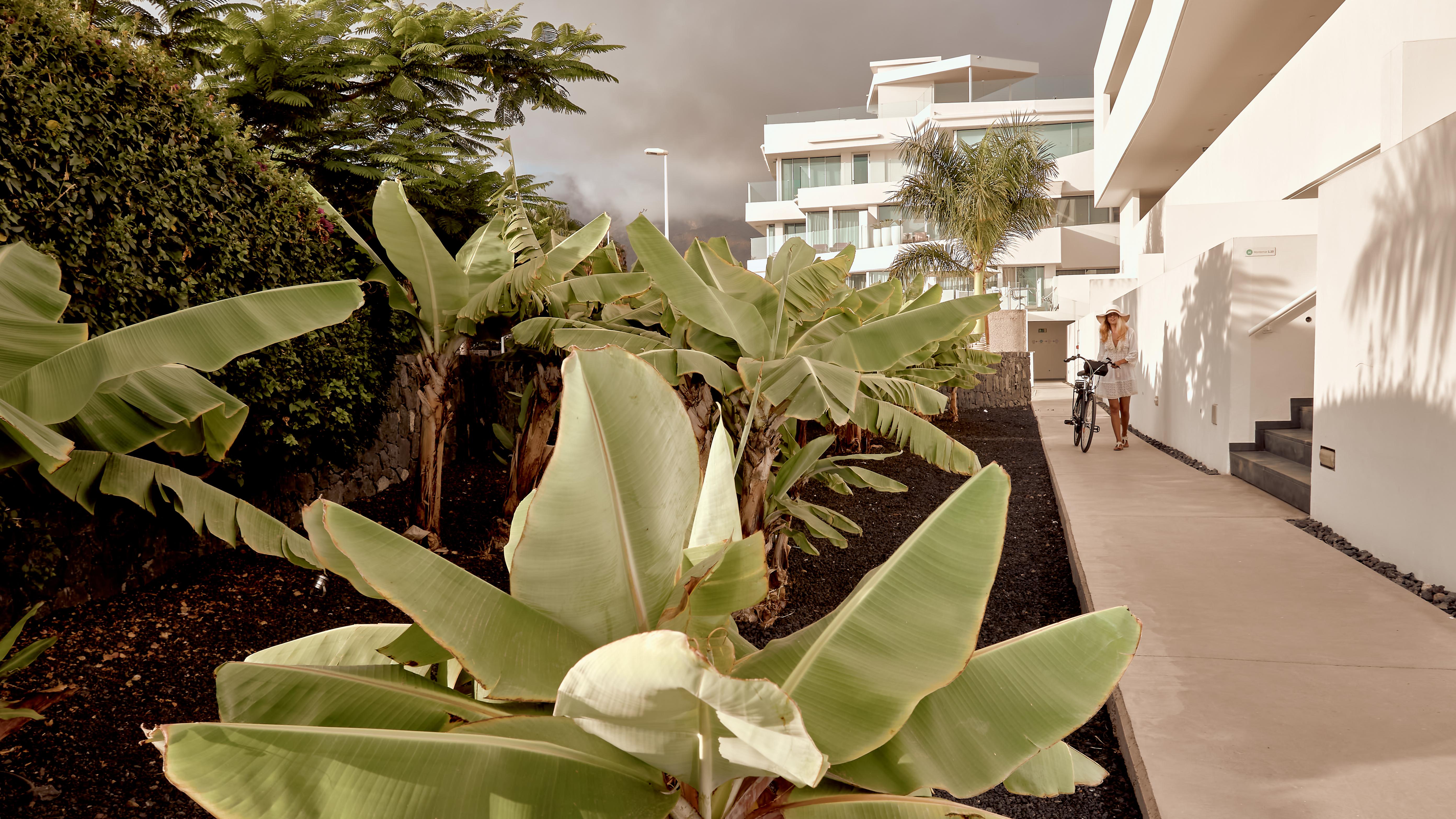 Hotel Baobab Suites Costa Adeje  Luaran gambar